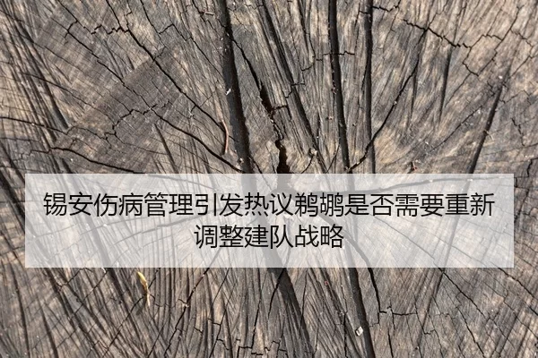 锡安伤病管理引发热议鹈鹕是否需要重新调整建队战略