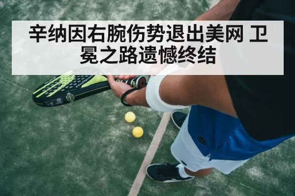 辛纳因右腕伤势退出美网 卫冕之路遗憾终结